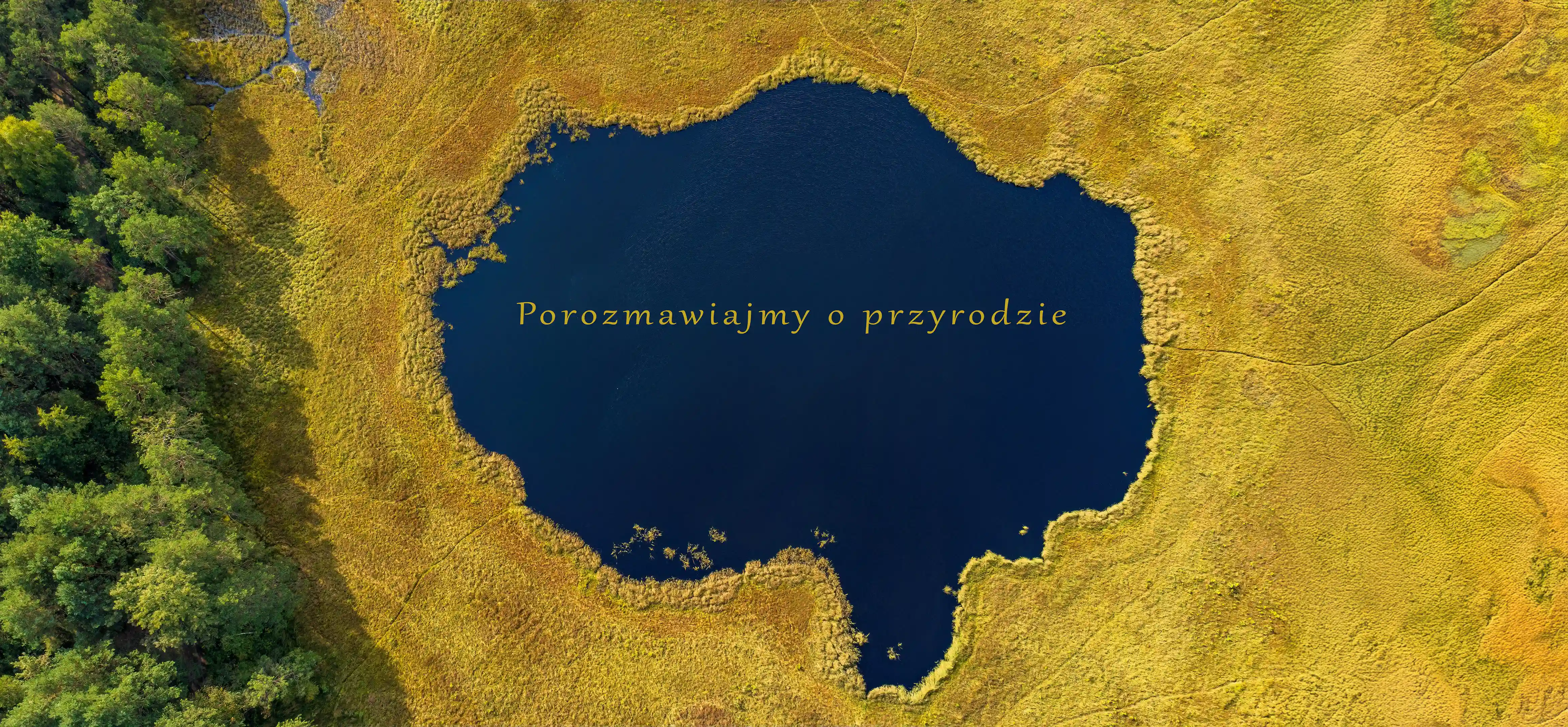 Tło Fundacja Vernalis - porozmawiajmy o przyrodzie