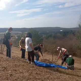 Akcja czynnej ochrony murawy na Górze Sosnówce (3)