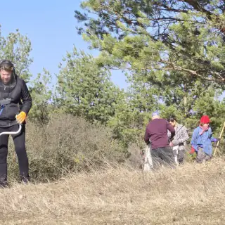 Akcja czynnej ochrony murawy na Górze Sosnówce (8)