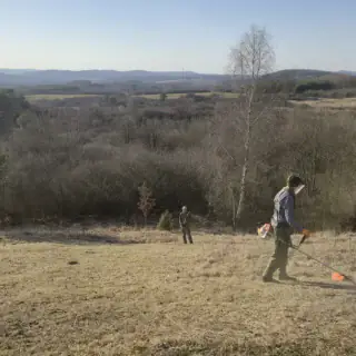 Akcja czynnej ochrony murawy na Górze Sosnówce (10)