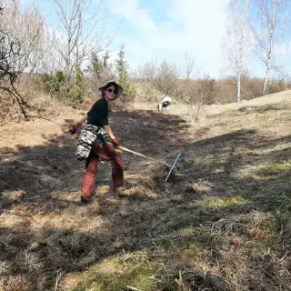 Akcja czynnej ochrony murawy na Górze Sosnówce (15)