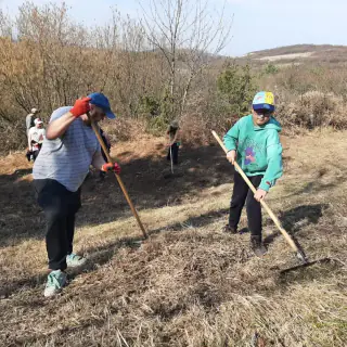 Akcja czynnej ochrony murawy na Górze Sosnówce (16)